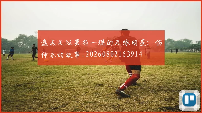 盘点足坛昙花一现的足球明星:伤仲永的故事_20260802163914