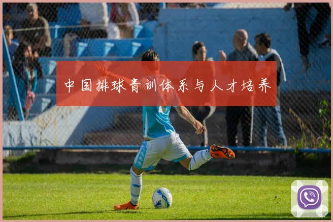 中国排球青训体系与人才培养
