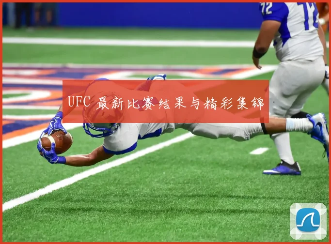 UFC 最新比赛结果与精彩集锦